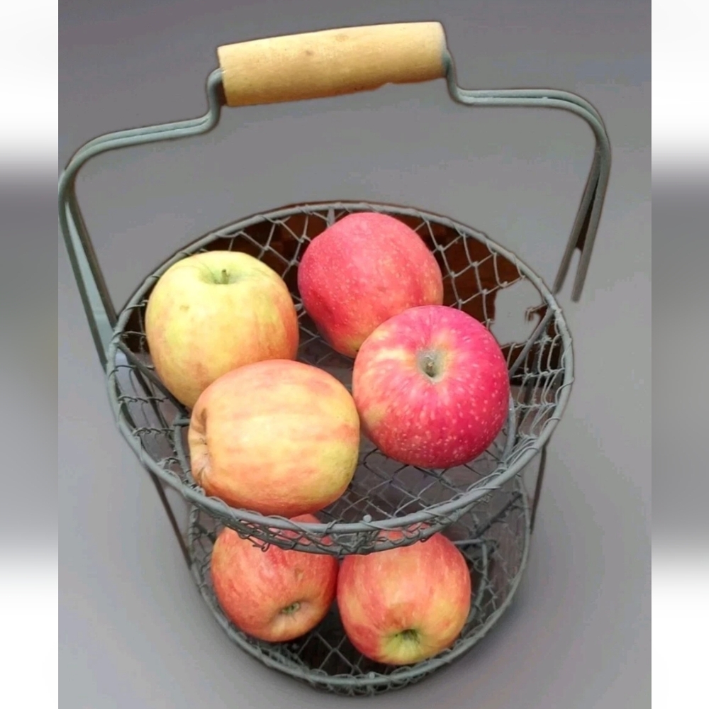 2 Tier Chicken Wire Look Caddy/Basket Wooden Top Handle & Feet Shabby/Farm Style - Picture 4 of 7